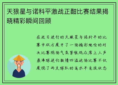 天狼星与诺科平激战正酣比赛结果揭晓精彩瞬间回顾