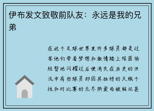 伊布发文致敬前队友：永远是我的兄弟