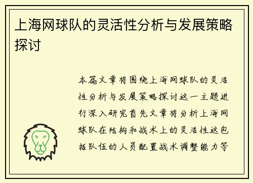 上海网球队的灵活性分析与发展策略探讨