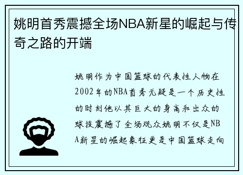 姚明首秀震撼全场NBA新星的崛起与传奇之路的开端