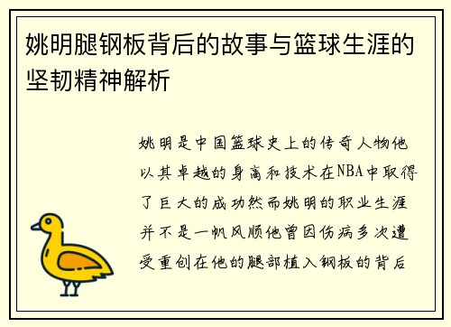 姚明腿钢板背后的故事与篮球生涯的坚韧精神解析