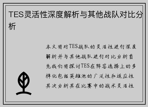 TES灵活性深度解析与其他战队对比分析