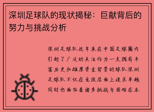 深圳足球队的现状揭秘：巨献背后的努力与挑战分析