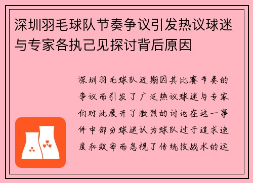 深圳羽毛球队节奏争议引发热议球迷与专家各执己见探讨背后原因