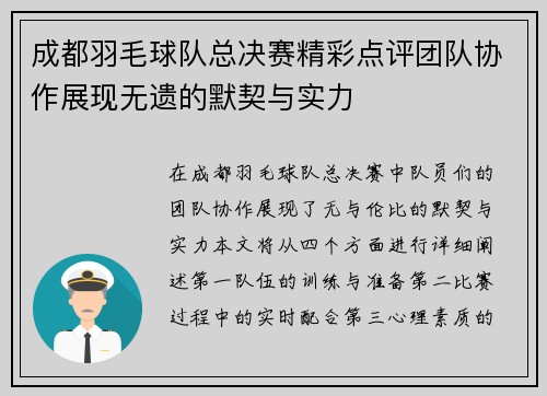 成都羽毛球队总决赛精彩点评团队协作展现无遗的默契与实力
